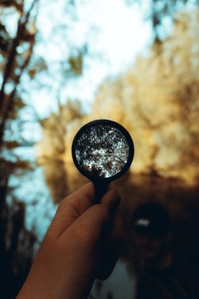 magnifying_glass